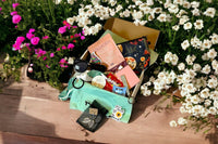 Summer 2023 box