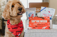 Pooch Perks Dog Box