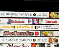 Monthly Mature Manga (18+ only) Box (5 Books per month)