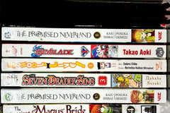 Monthly Mature Manga (18+ only) Box (5 Books per month)