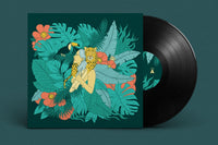 Indie Vinyl Record Compilation Box