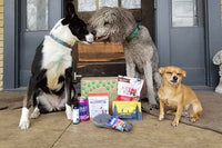 Pure Earth Pets Eco Friendly Dog Box