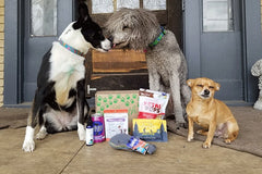Pure Earth Pets Eco Friendly Dog Box