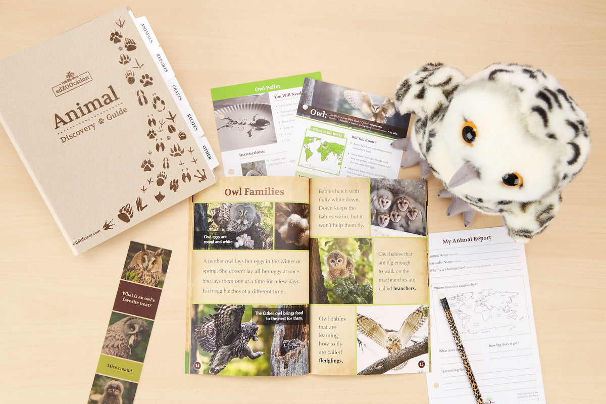 edZOOcation™ Animal Education Subscription Box by Wildlife Tree