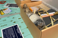 Enlightened Warrior Book Club Premium Box 2026