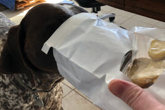Bake Your Own Dog Treats with Bucket and Bones