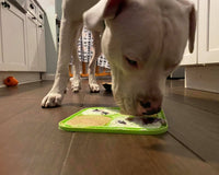 Canine Enrichment Box