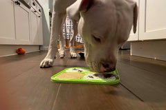 An image of a white dog standing over a green lick mat. The dog is licking the mat which has yogurt and berries.