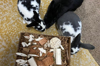 Busy Box