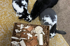 Busy Box