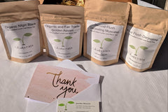 Tea Savvy Subscription Box