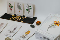 The Intentional Witch Divination Box