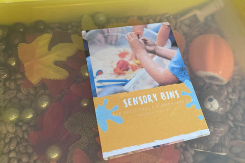 Rainbow Kids Sensory Bins