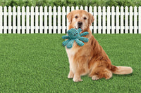 Peculiar Pet Holiday Box - Dog