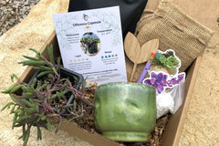 Succulent & Cacti Box - Planting Kit with Goodies!