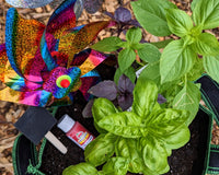 The Patio Farmer Box