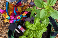 The Patio Farmer Box contains 5-7 items each month including 2-3 packets of organic seeds, plus tools to help you grow your own food! 