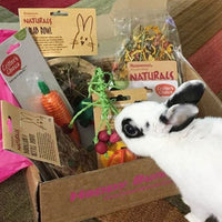 Happy Bunny Club Box