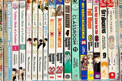 Manga Mystery Box - 5 or 10 Books - Shojo, Shonen, Mature or Mix! Free Shipping!