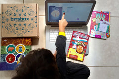 Bitsbox Basic