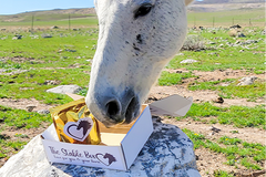 Gray horse eating treats out of The Stable Box - treats shown in gold foil package with heart and horse logo. 