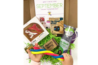Sensory TheraPLAY Box!