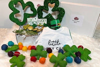 Monthly Baby Photo Props