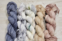 Mystery Mini Skein Box by The Zippy Zebra