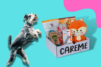 Customized premium dog subscription box, With each purchase we donate to homeless animals!- CareMebox