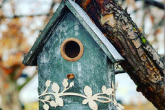 The Bird Lovers is a great way to celebrate birds. Includes bird houses. Things to decorate your home. . Fun books and more 