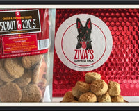 Ziva's Surprise Pack for Multiple Dog Homes