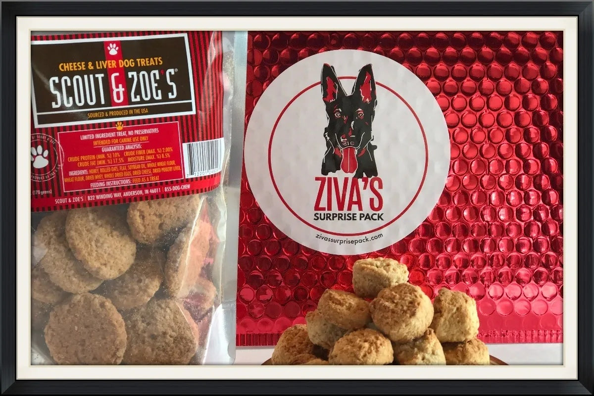 Ziva's Surprise Pack for Multiple Dog Homes