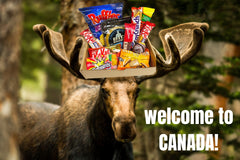 Canadian Snacks Box | Everything Canadian Snacks