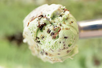 eCreamery Ice Cream & Gelato Monthly Membership