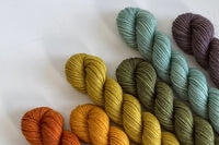 Mystery Mini Skein Box by The Zippy Zebra