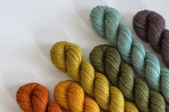 Mystery Mini Skein Box by The Zippy Zebra