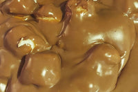 Oh, Fudge! gourmet fudge monthly sampler over 1 pound!