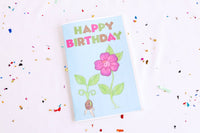 Birthday Box