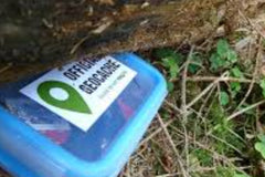 Geocache Box