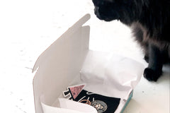The KitTea Kit
