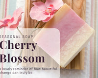 I Love St Louis: Experience for Her