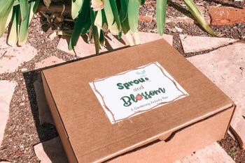 Sprout and Blossom Box