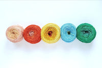 Five skeins of Hand Dyed Silk Yarn in Worsted Weight that has been wound into cakes. The colors graduate from one to the next 