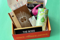 Work • Space • Spark: Your Career Growth & Office Decor Subscription Box