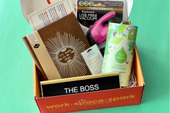 Work • Space • Spark: Your Career Growth & Office Decor Subscription Box