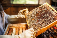 3-Pack Real Honey