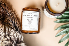 candles and pets dogs and cats candles two candles dogs cats pets animals candles for pet owners and pet lovers