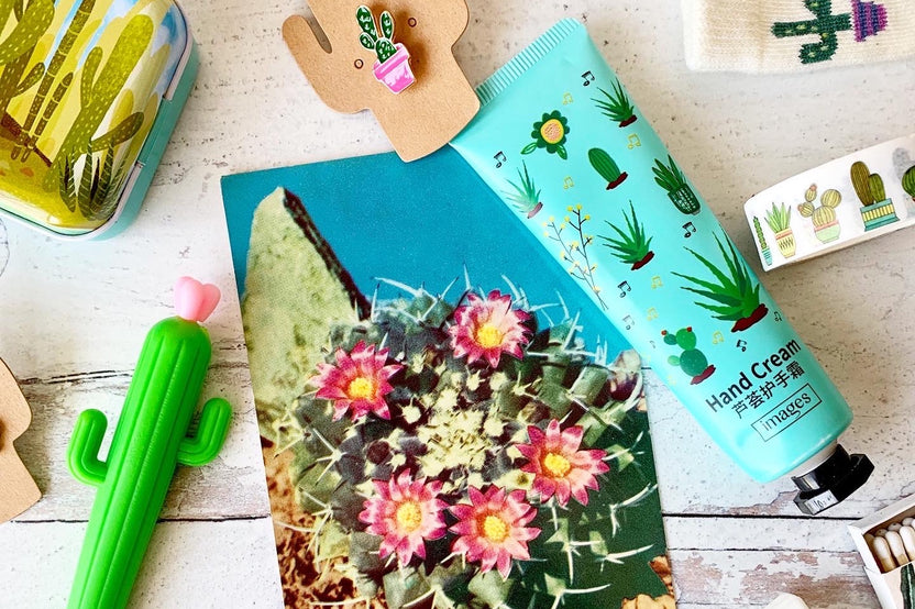 These photos give you an idea of the types of products included, but the exact items will vary - we love keeping each box a surprise!