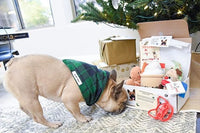 Premium Frenchie Box