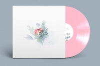 Indie Vinyl Record Compilation Box